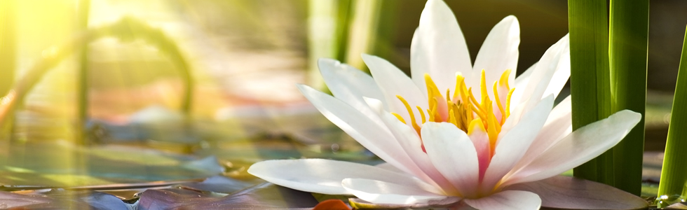 Integrating Yoga & Acupuncture